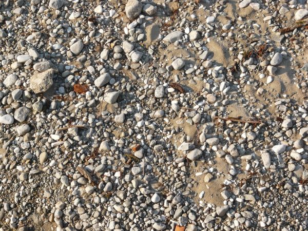 Grey pebbles of various sizes covering surface of thin, brown sand.